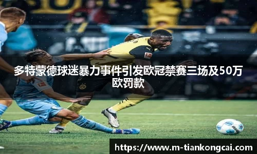 多特蒙德球迷暴力事件引发欧冠禁赛三场及50万欧罚款
