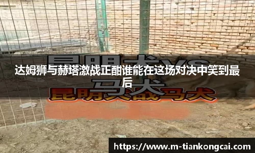 达姆狮与赫塔激战正酣谁能在这场对决中笑到最后