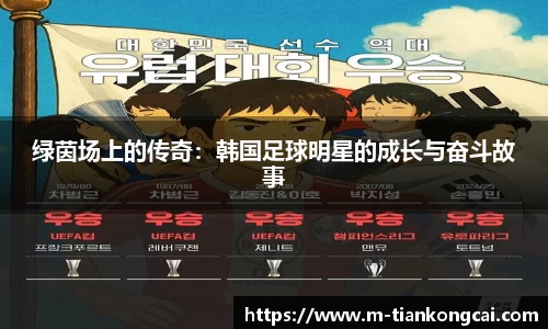 绿茵场上的传奇：韩国足球明星的成长与奋斗故事
