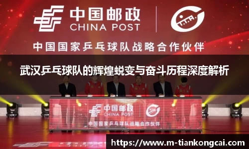 武汉乒乓球队的辉煌蜕变与奋斗历程深度解析