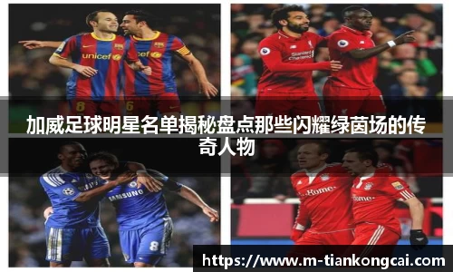 加威足球明星名单揭秘盘点那些闪耀绿茵场的传奇人物